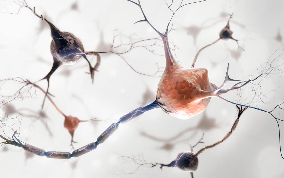 Graphic of neurons