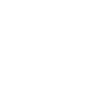 white graphic of a van