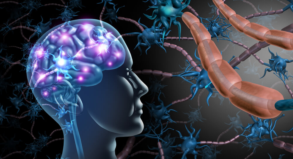 CGI of a brain and a close up of the neurons