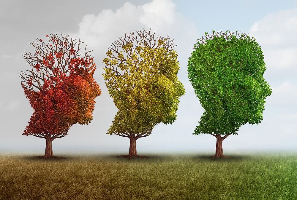 Treating Alzheimer’s with stem cells found in fat