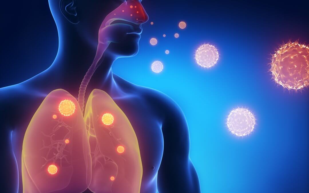 CGI of particles entering the nose and then lungs