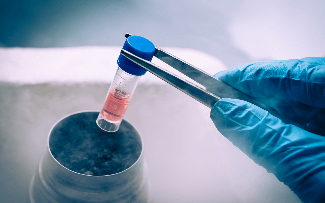 Coronavirus Patient Saved By Stem Cell Therapy
