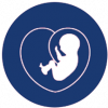 Perinatal stem cells illustration