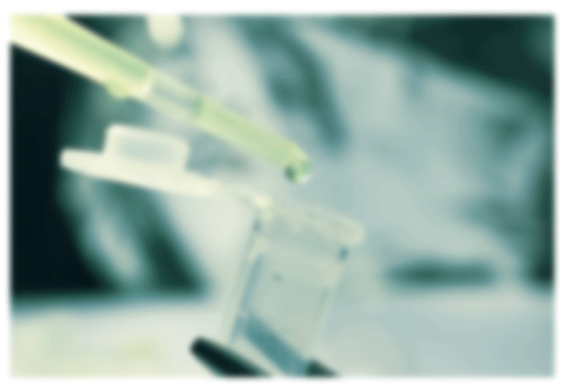 stemcell-future-research revealing stem cell research