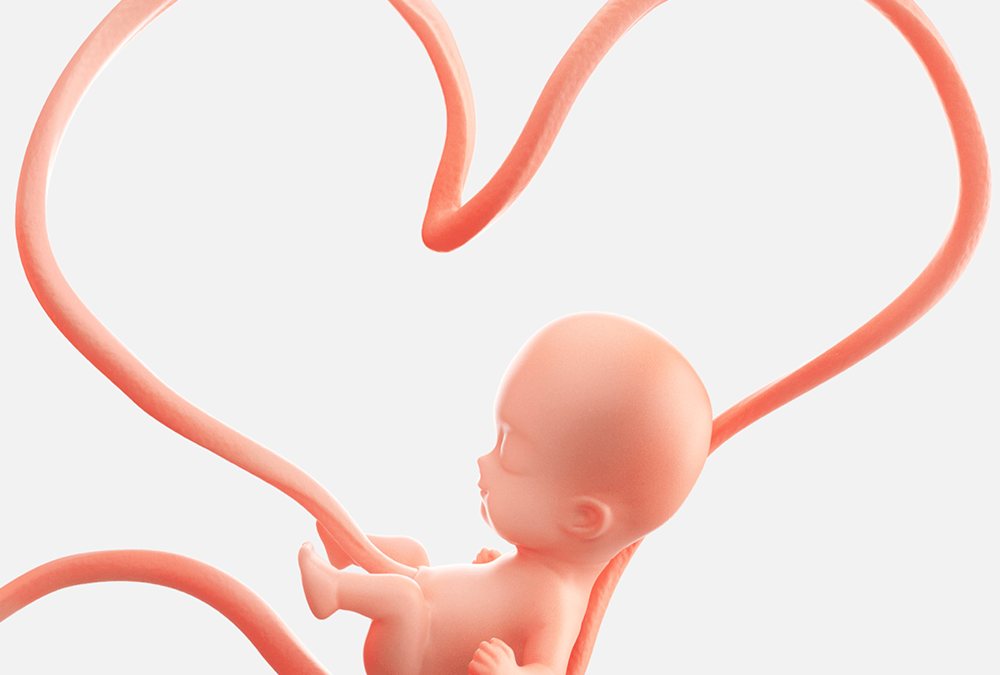 Umbilical Cord Storage