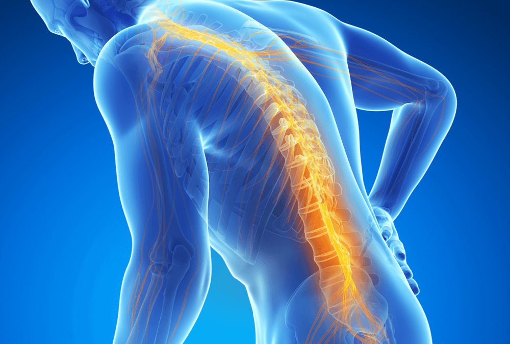Spine X Ray