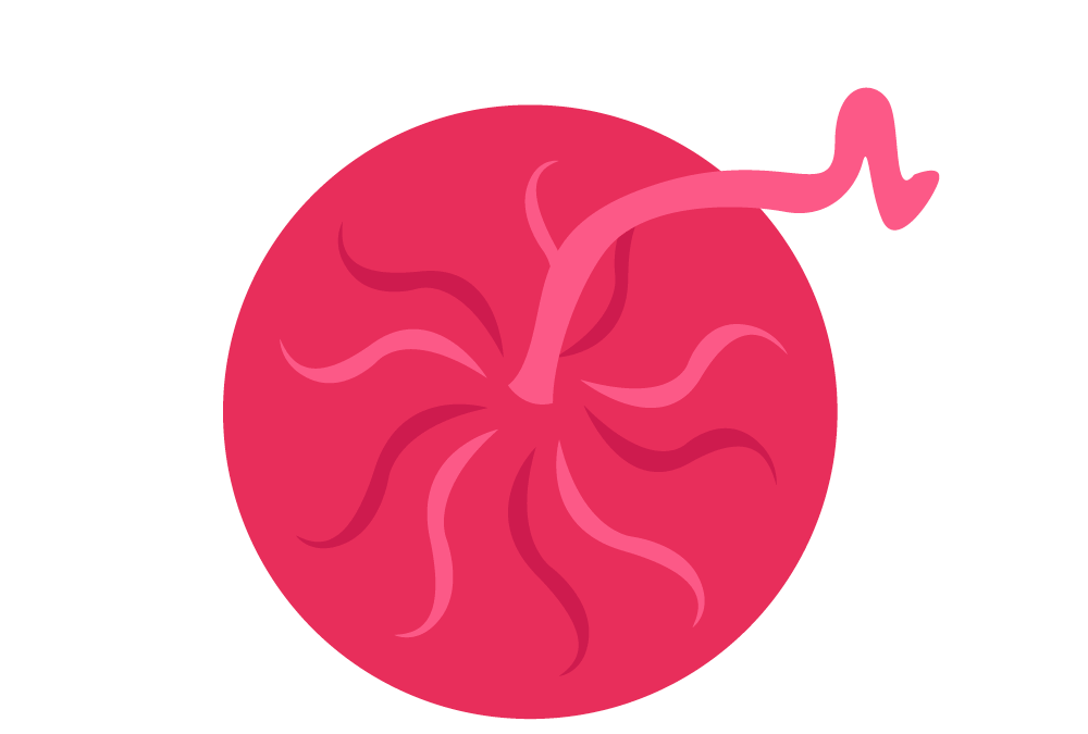 Placenta Banking: A Smart Choice for Your Child’s Health Future