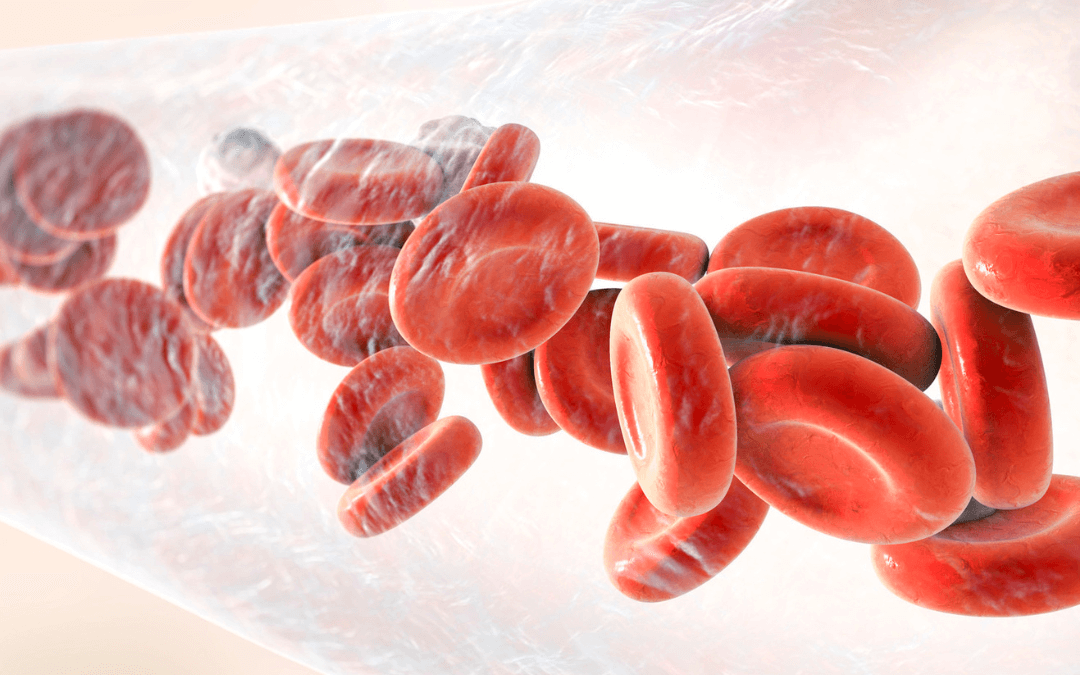 What is cord blood banking used for?