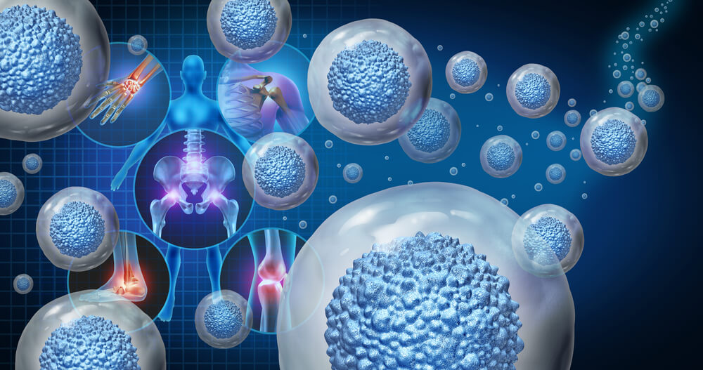 Adult stem cells vs. Cord Blood stem cells