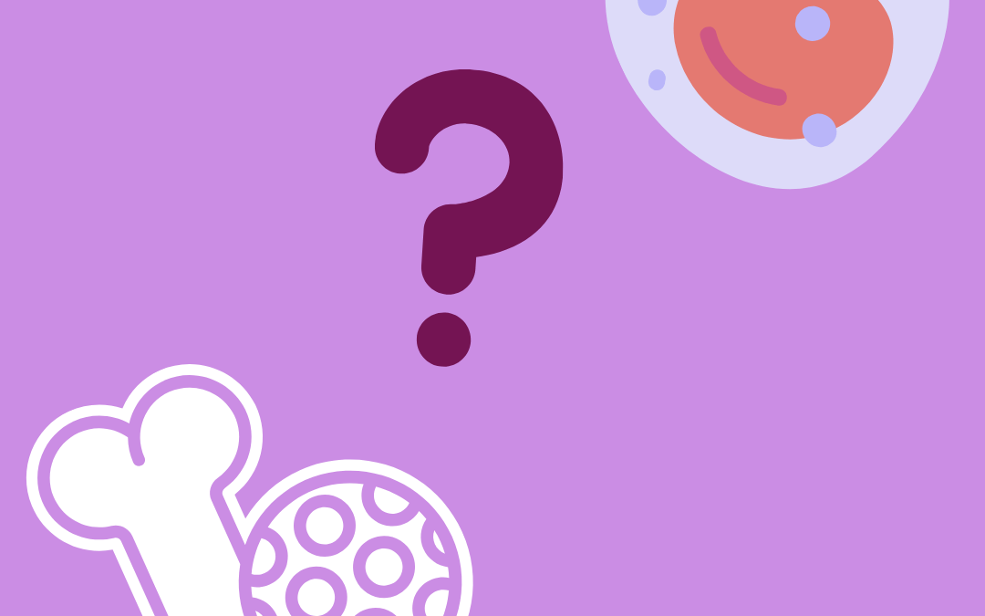 Where can stem cells be found?