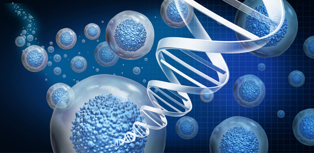 Cord Blood And Its Role in Regenerative Medicine