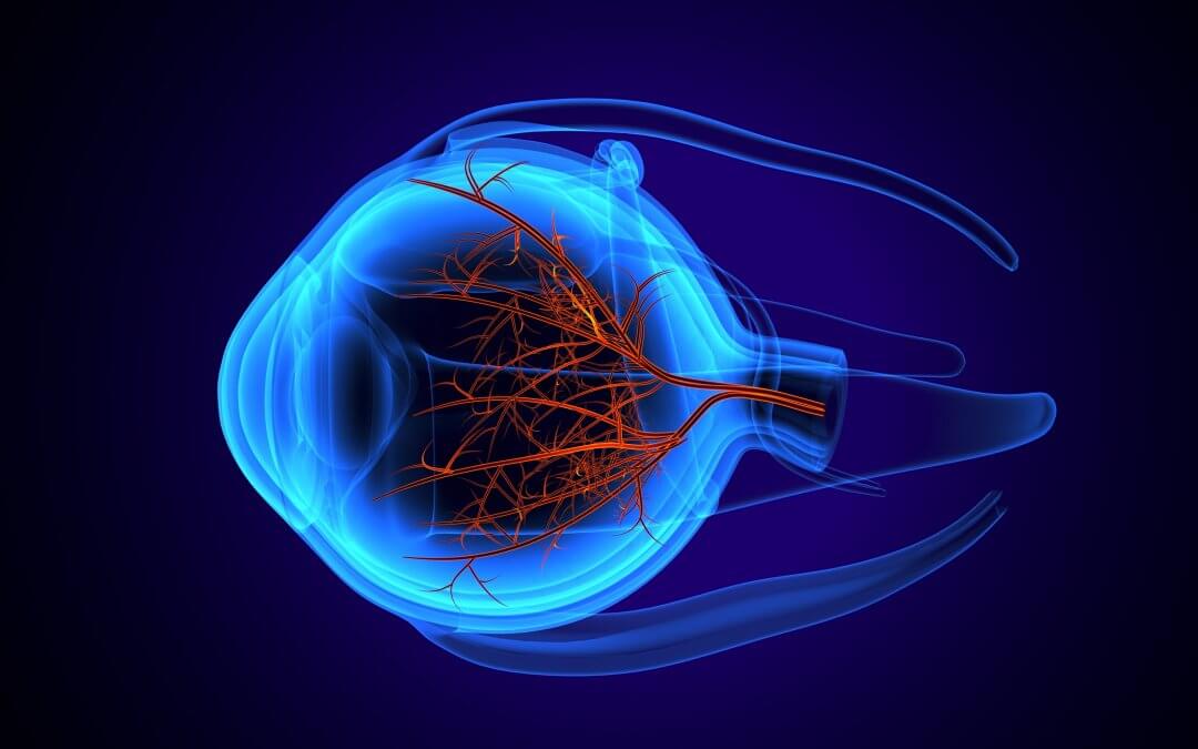 retinal disease