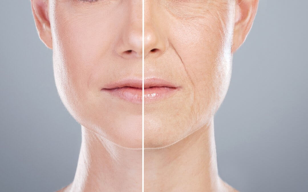 Stem Cells May Be Pivotal in Combatting Ageing, Research Shows