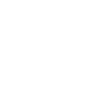 Hospital bag icon