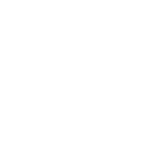 Speedy delivery icon