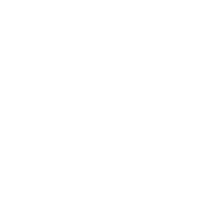 Temperature icon