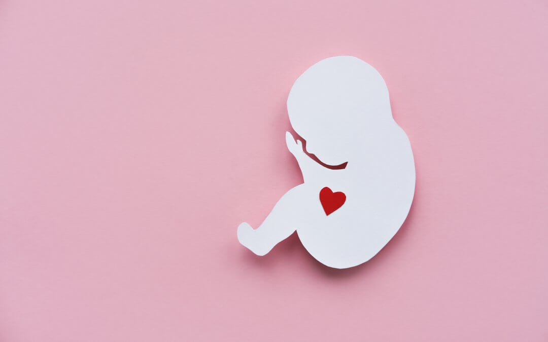 Papercut silhouette of a baby with a red heart, illustration of stem cell trial for HLHS