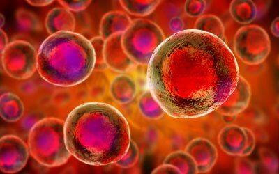 Making Cord Blood Go Further – Stem Cell Expansion