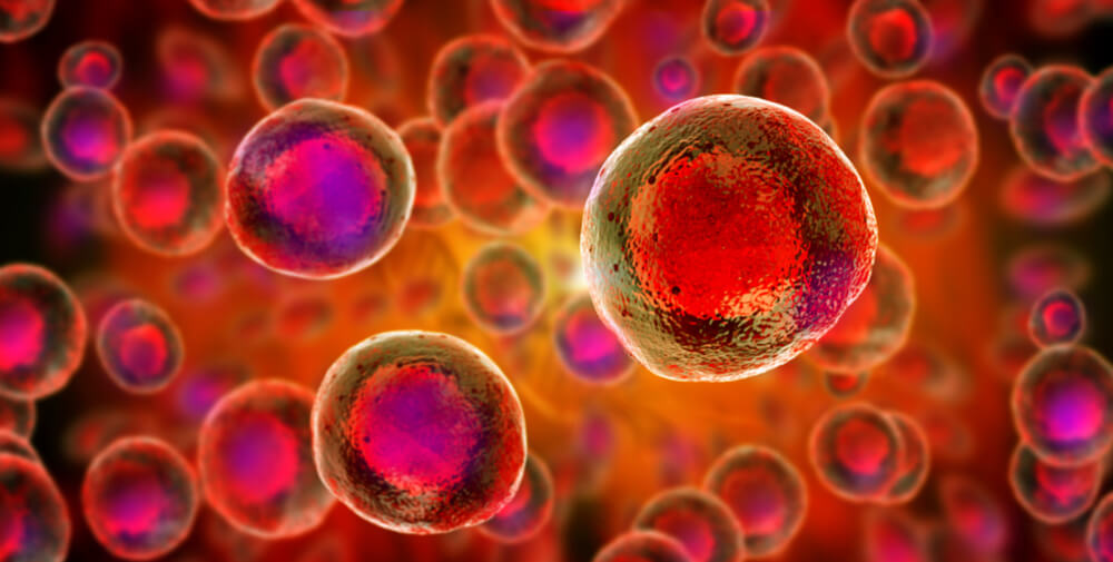 CGI of Cord Blood cells