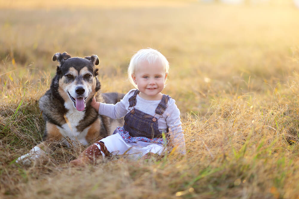 Young toddler sat in a field next to a panting dog