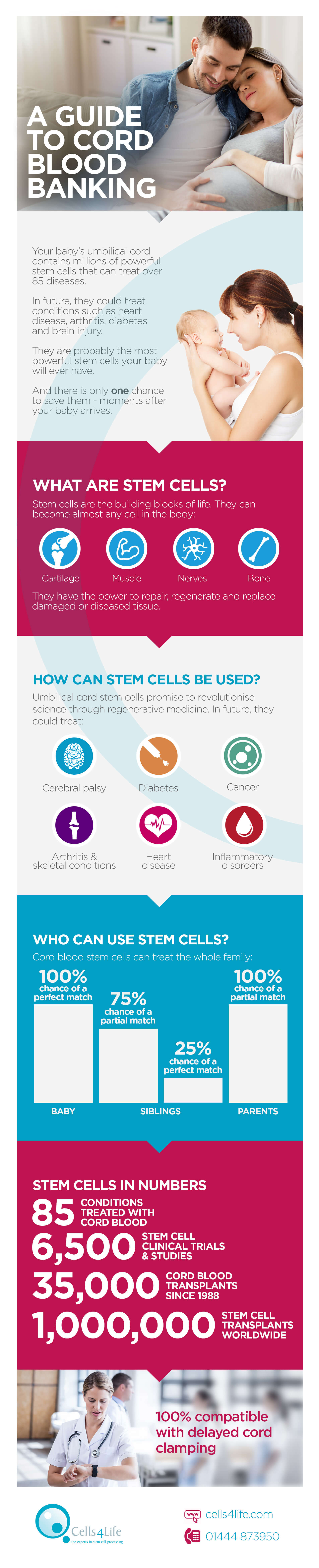 Cord Blood Banking Infographic 5 Things You Need To Know Cells4life