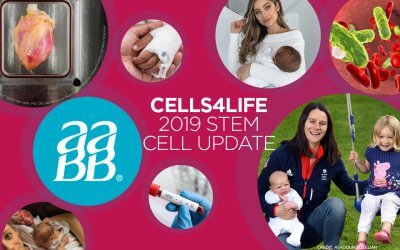 Latest Stem Cell News 2019