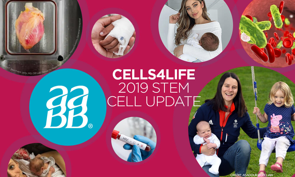 Cells4life 2019 stem cell update poster
