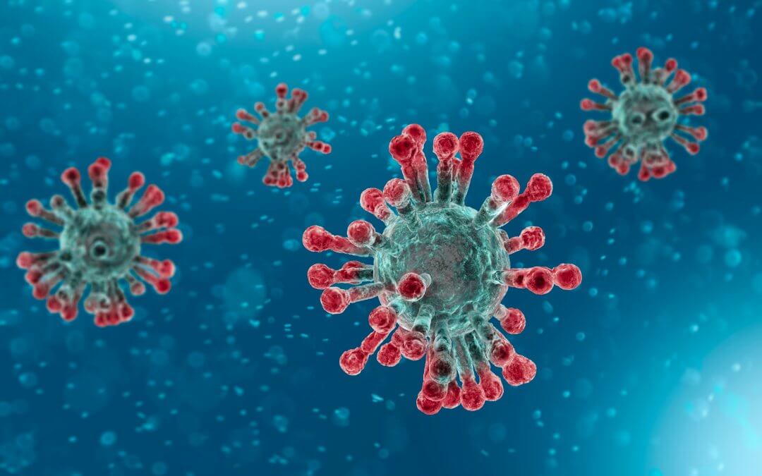 corona virus cells