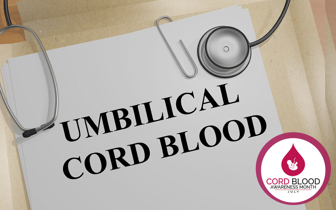 Folder labelled Umbilical cord blood with cord blood awareness logo