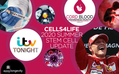 Summer 2020: the latest stem cell news