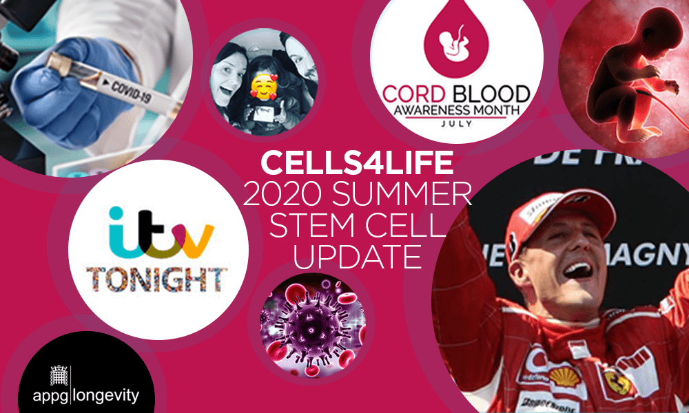 2020 Summer Stem Cell Update