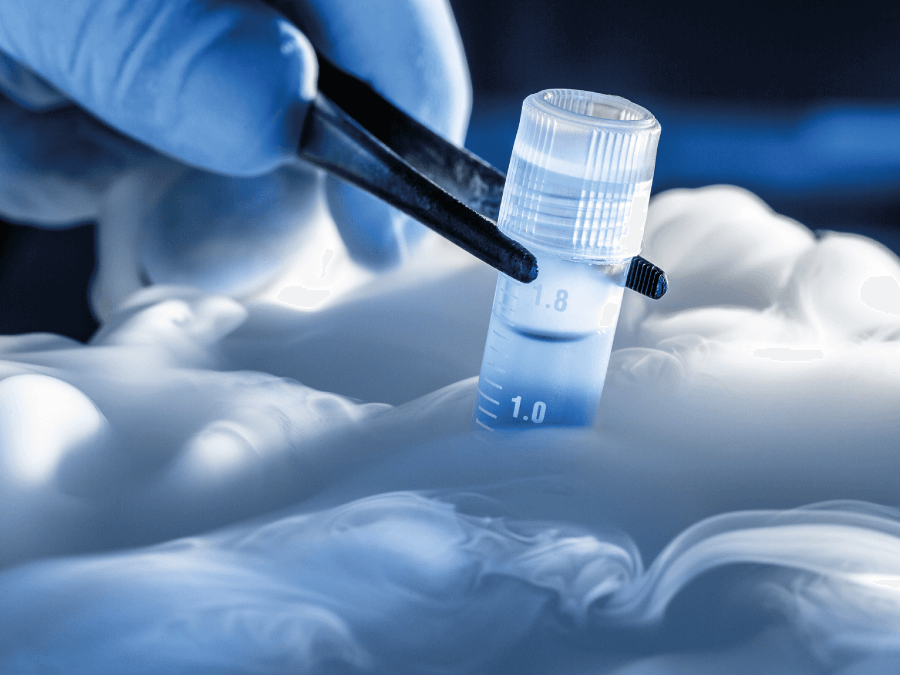 Test tube in liquid nitrogen for cryogenic storage