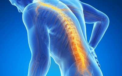 Can Stem Cells be used to treat Spinal Cord Injuries?