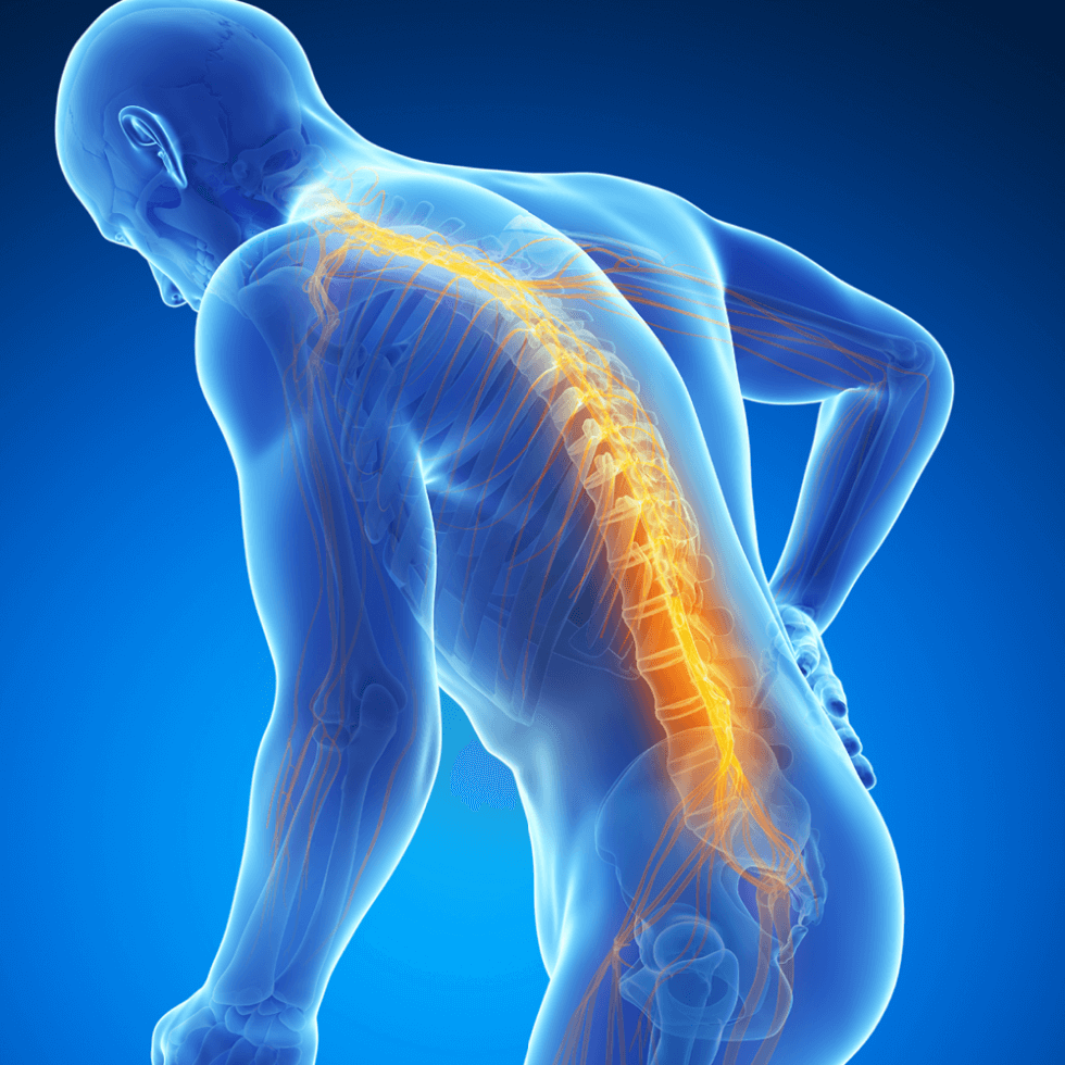 Can Stem Cells be used to treat Spinal Cord Injuries? | Cells4Life