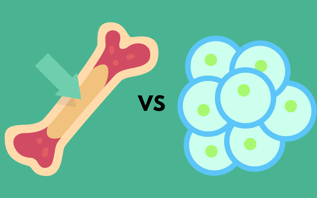 Bone Marrow vs Cord blood cells