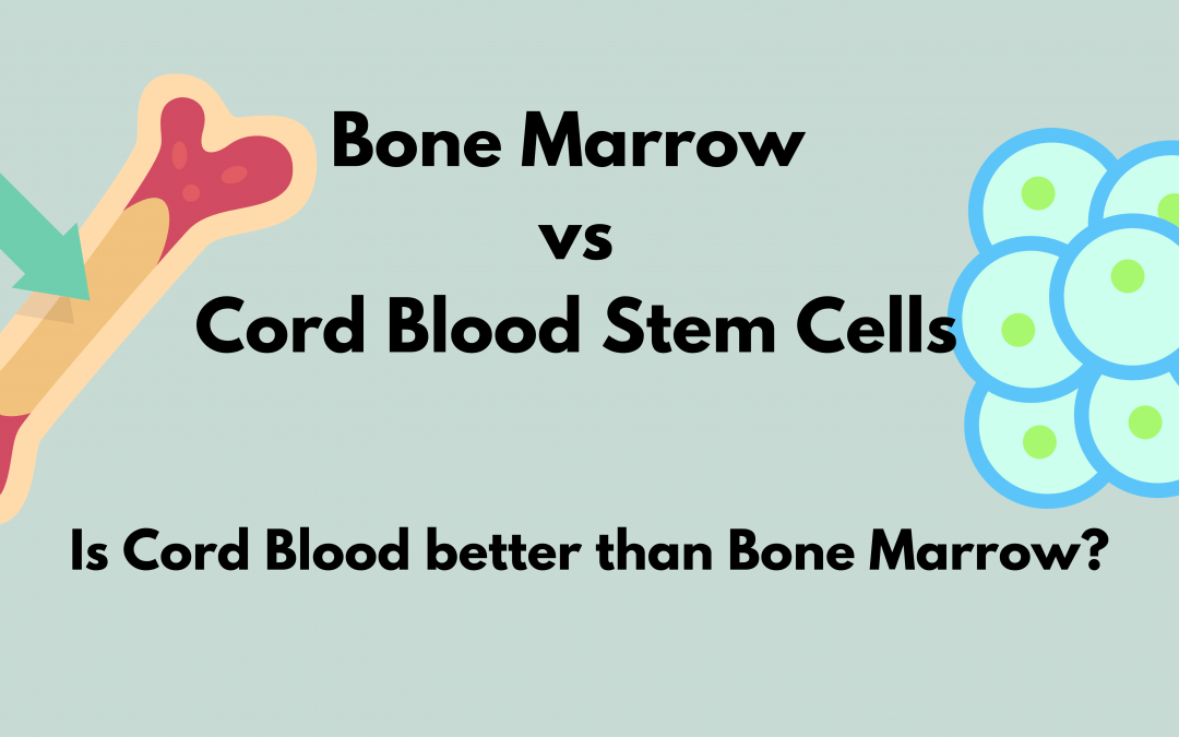 Bone Marrow vs Cord Blood Stem Cells