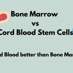 Bone Marrow vs Cord Blood Stem Cells