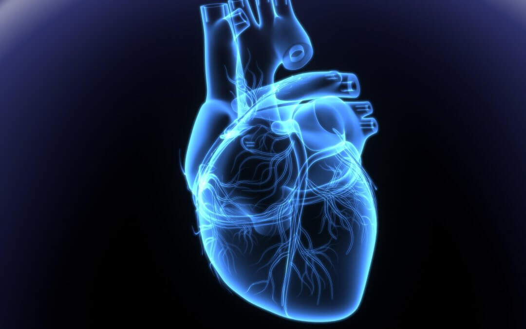 Stem Cells Boost Quality of Life for Heart Failure Sufferers, Study Finds