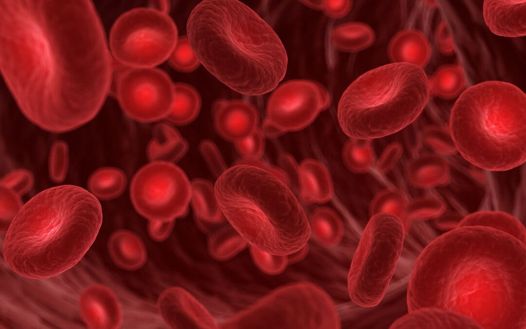 nhs blood disorder stem cell treatment