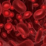 nhs blood disorder stem cell treatment