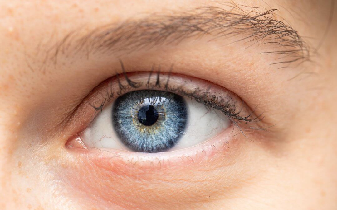 Stem Cells Restore Vision in World First