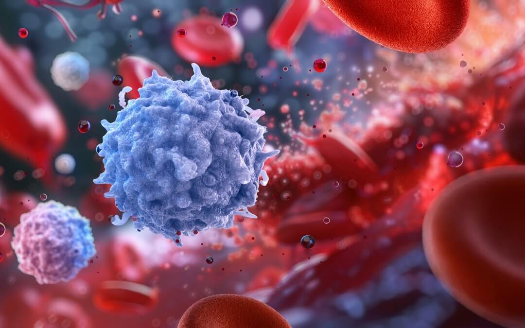 A 3D illustration of white blood cells