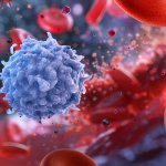 A 3D illustration of white blood cells
