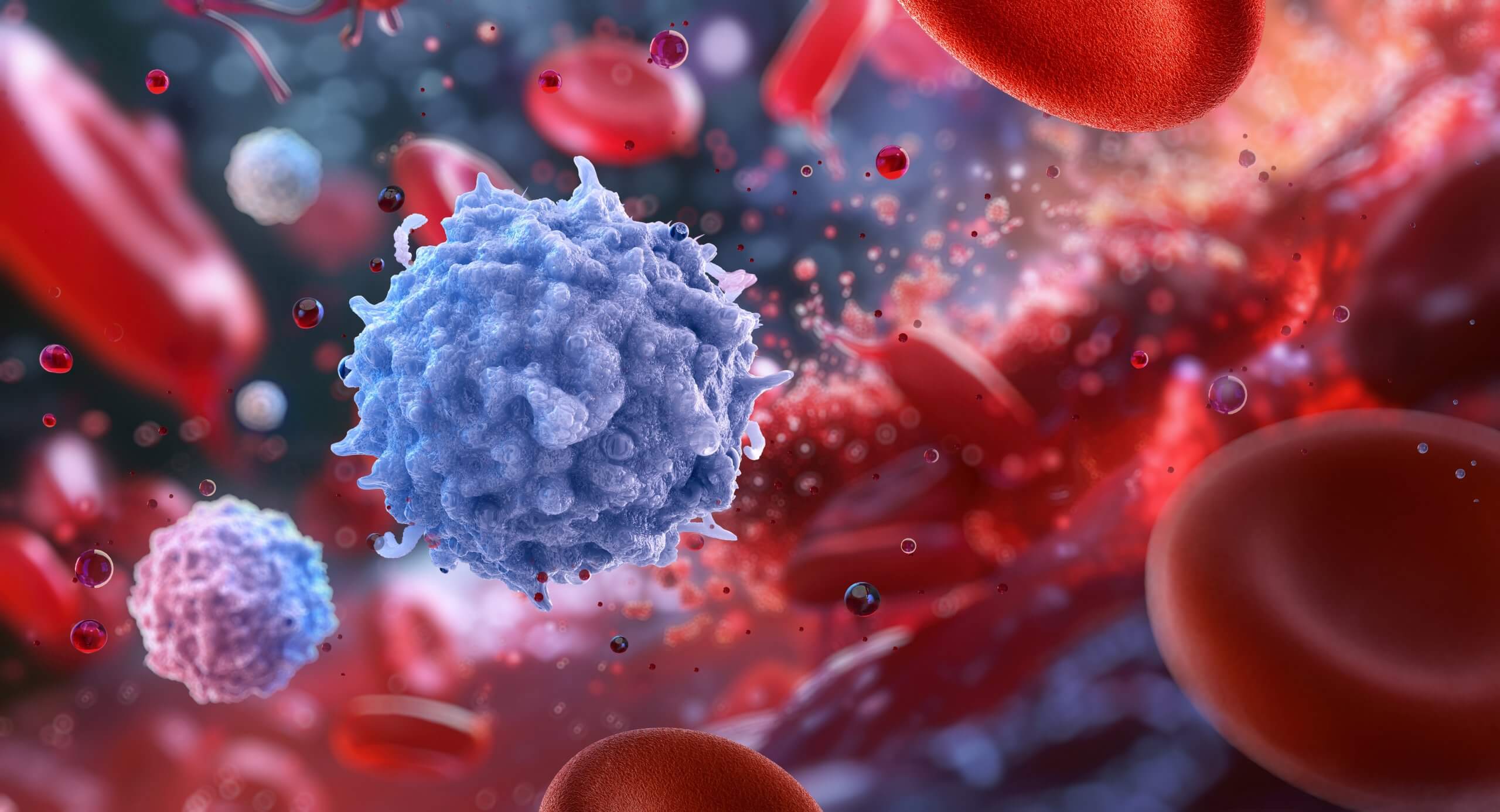 A 3D illustration of white blood cells