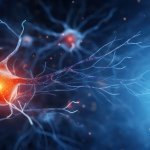 A 3D graphic of neurons and neves, illustrating chronic nerve pain