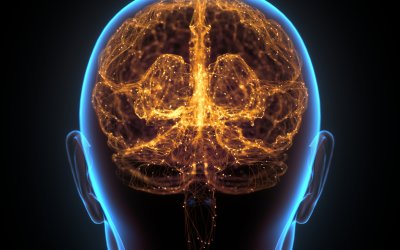 Cord Tissue Stem Cells Enter a Trial for CTE – the Brain Injury Linked to Repeated Head Knocks