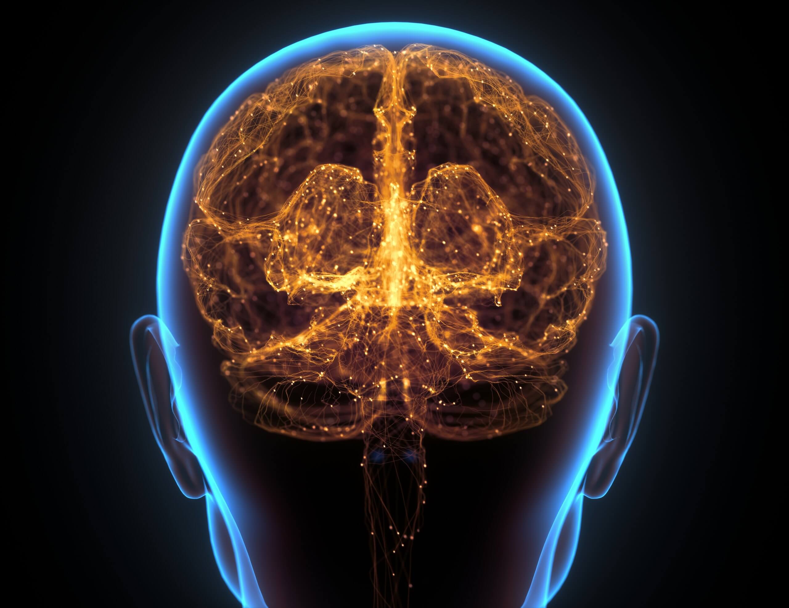 A 3D illustration of the brain