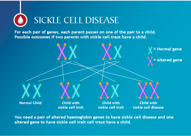 Cells4Life | Sickle Cell Disease Awareness Month